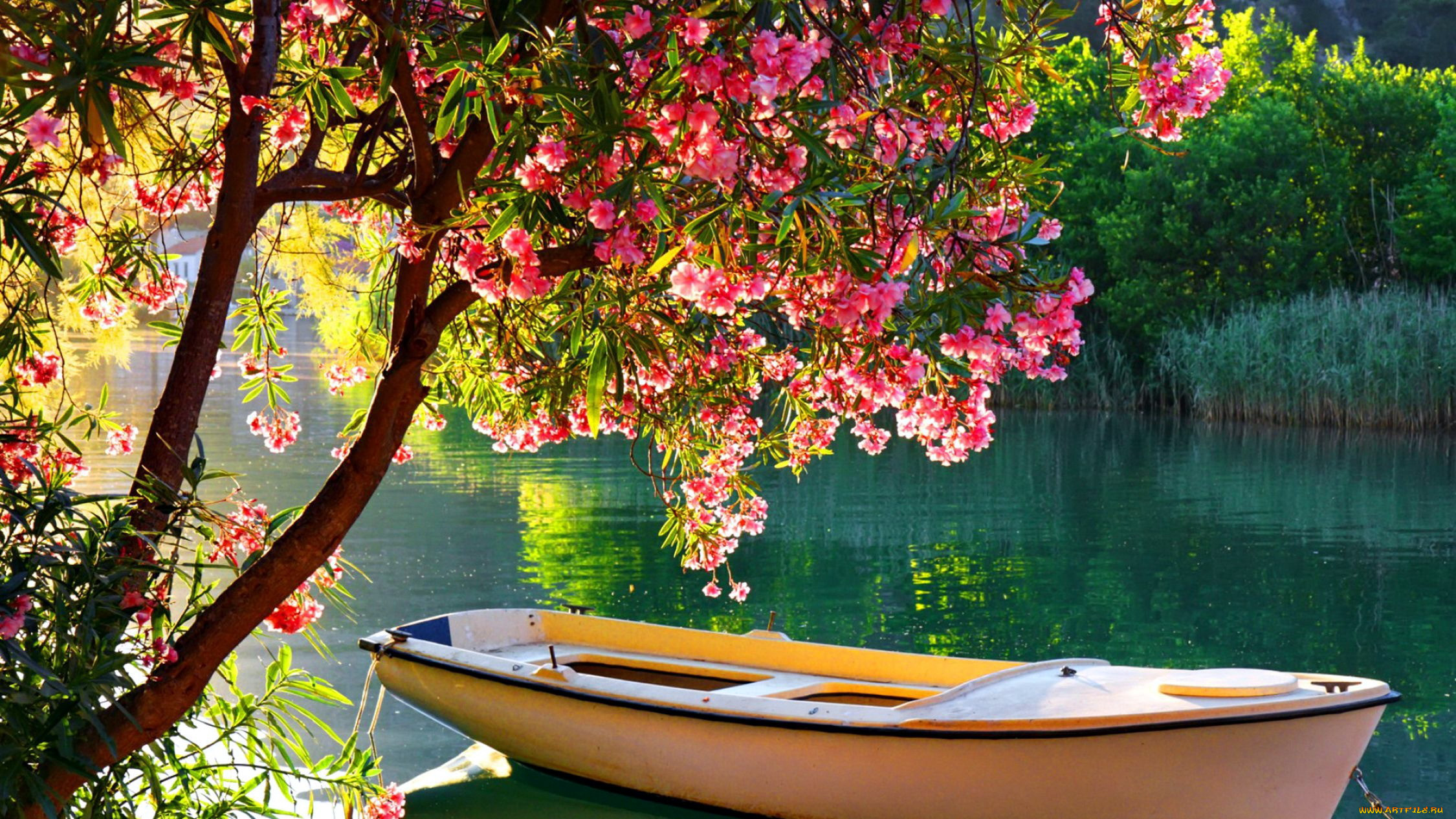 красивая река с лодкой